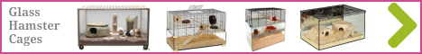 Glass hamster cages for sale