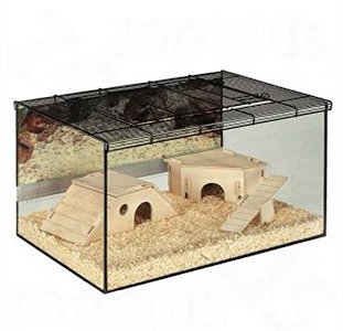 Small Pet Terrarium Kerry